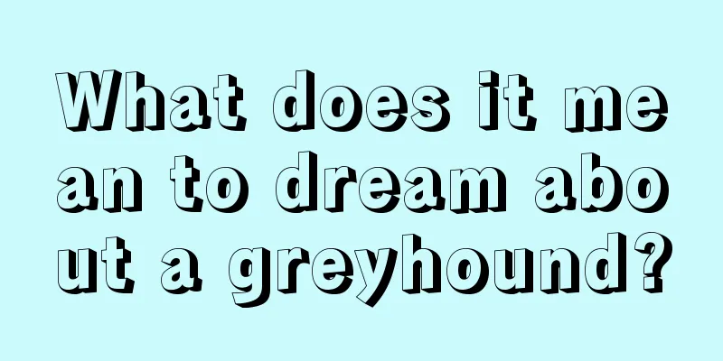 What does it mean to dream about a greyhound?