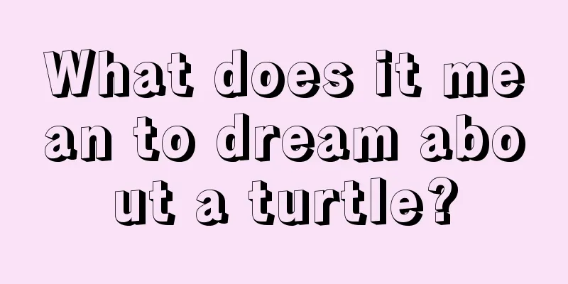 What does it mean to dream about a turtle?