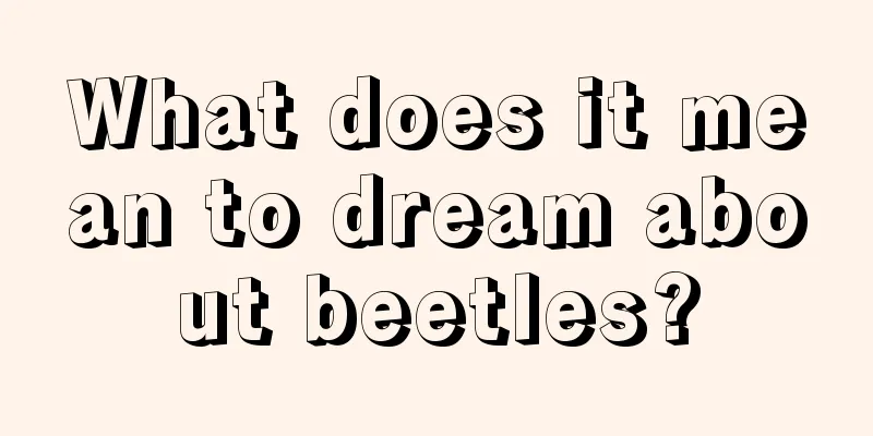 What does it mean to dream about beetles?