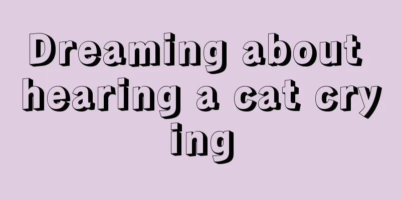 Dreaming about hearing a cat crying