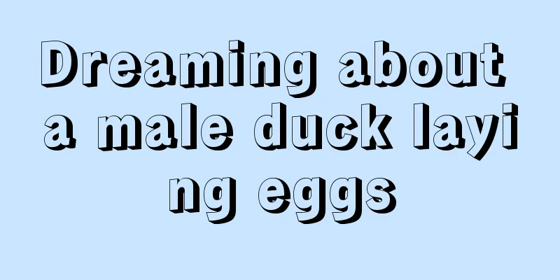 Dreaming about a male duck laying eggs