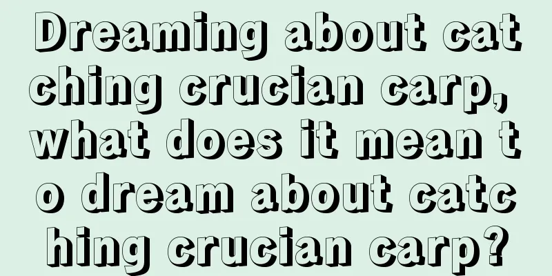 Dreaming about catching crucian carp, what does it mean to dream about catching crucian carp?