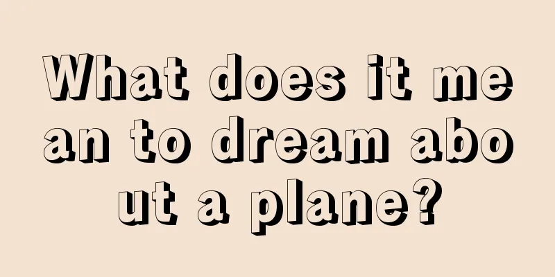 What does it mean to dream about a plane?