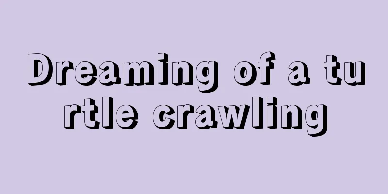 Dreaming of a turtle crawling