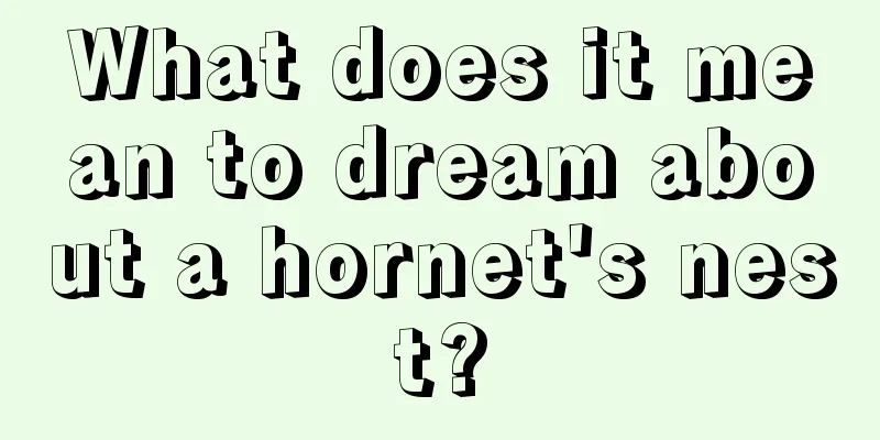 What does it mean to dream about a hornet's nest?