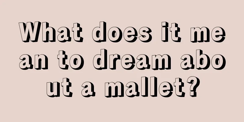 What does it mean to dream about a mallet?