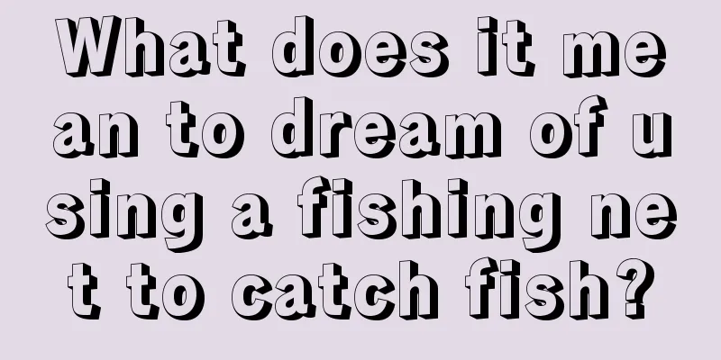 What does it mean to dream of using a fishing net to catch fish?