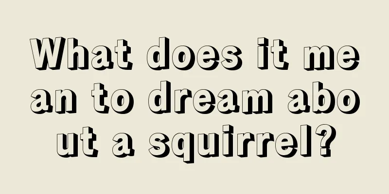 What does it mean to dream about a squirrel?