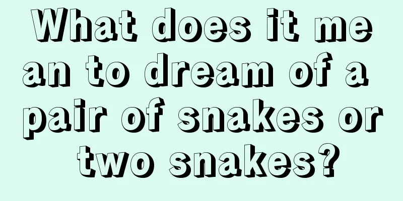 What does it mean to dream of a pair of snakes or two snakes?