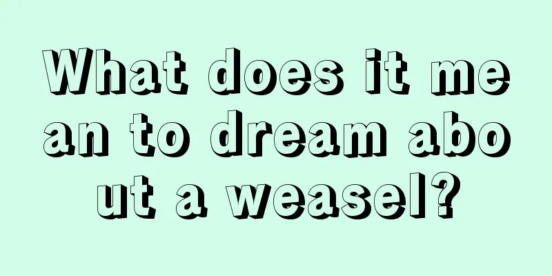 What does it mean to dream about a weasel?