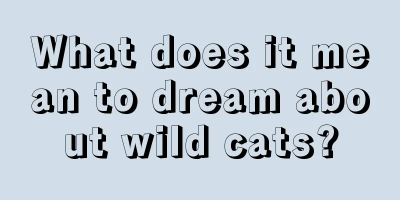 What does it mean to dream about wild cats?