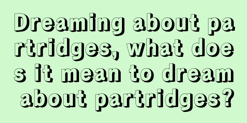 Dreaming about partridges, what does it mean to dream about partridges?