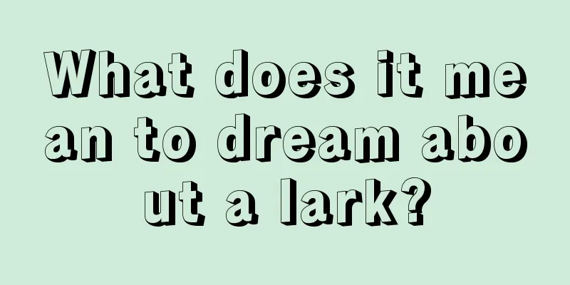 What does it mean to dream about a lark?