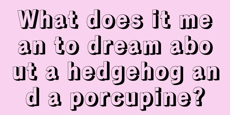 What does it mean to dream about a hedgehog and a porcupine?