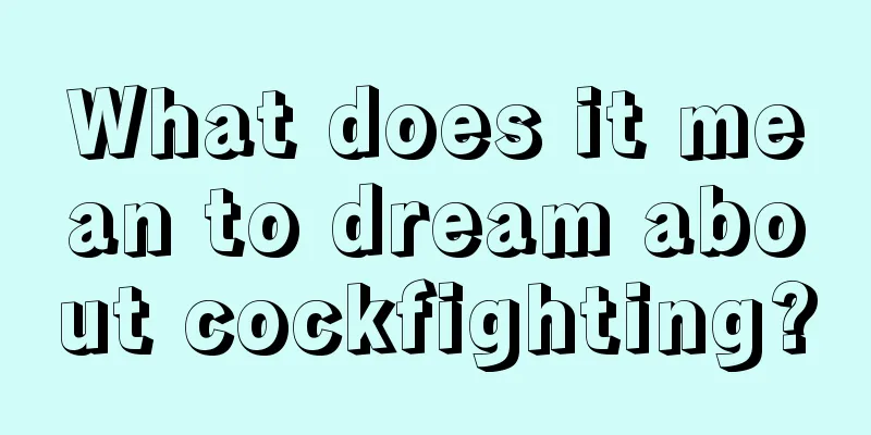 What does it mean to dream about cockfighting?