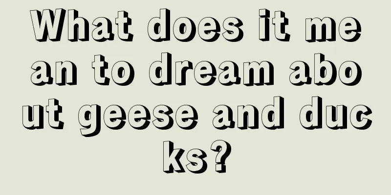 What does it mean to dream about geese and ducks?