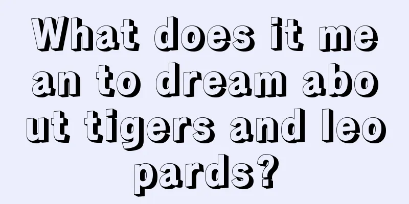 What does it mean to dream about tigers and leopards?