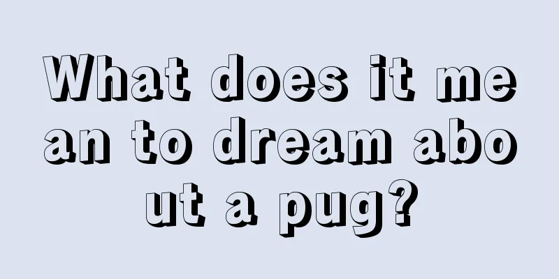 What does it mean to dream about a pug?