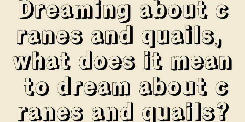 Dreaming about cranes and quails, what does it mean to dream about cranes and quails?