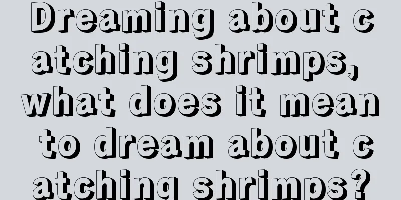 Dreaming about catching shrimps, what does it mean to dream about catching shrimps?