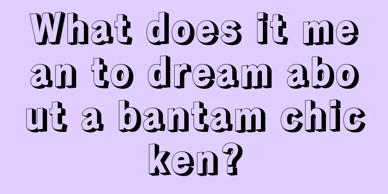 What does it mean to dream about a bantam chicken?