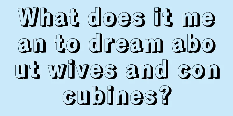 What does it mean to dream about wives and concubines?