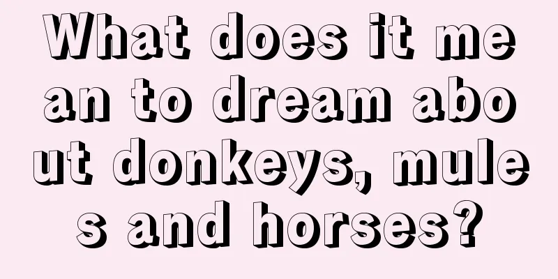 What does it mean to dream about donkeys, mules and horses?