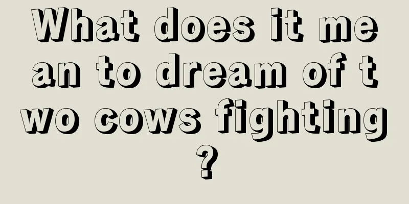 What does it mean to dream of two cows fighting?