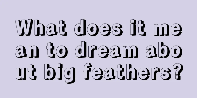 What does it mean to dream about big feathers?