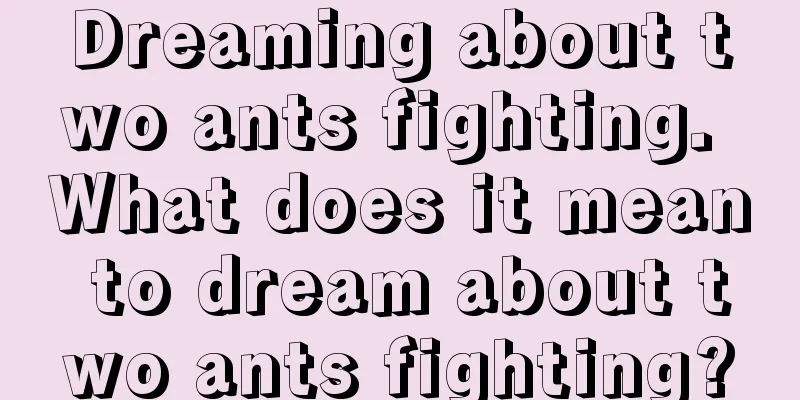 Dreaming about two ants fighting. What does it mean to dream about two ants fighting?