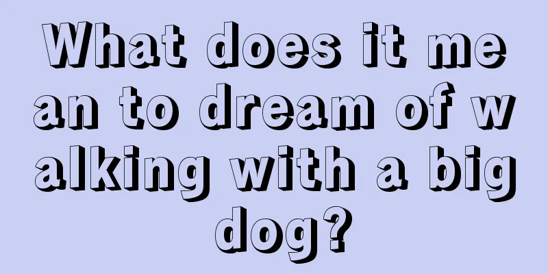 What does it mean to dream of walking with a big dog?