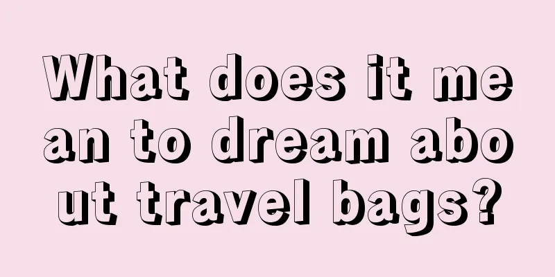 What does it mean to dream about travel bags?