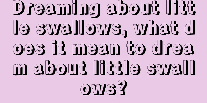 Dreaming about little swallows, what does it mean to dream about little swallows?