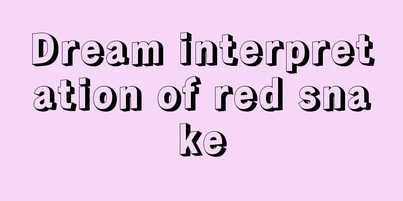 Dream interpretation of red snake