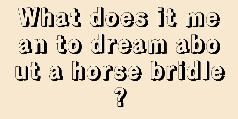 What does it mean to dream about a horse bridle?