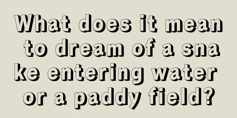 What does it mean to dream of a snake entering water or a paddy field?