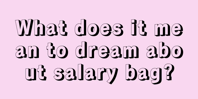 What does it mean to dream about salary bag?