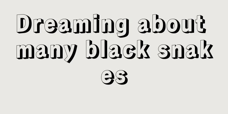 Dreaming about many black snakes