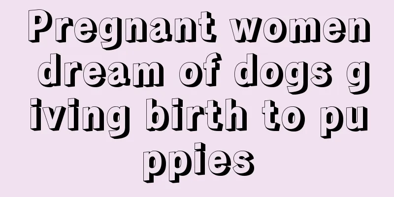 Pregnant women dream of dogs giving birth to puppies