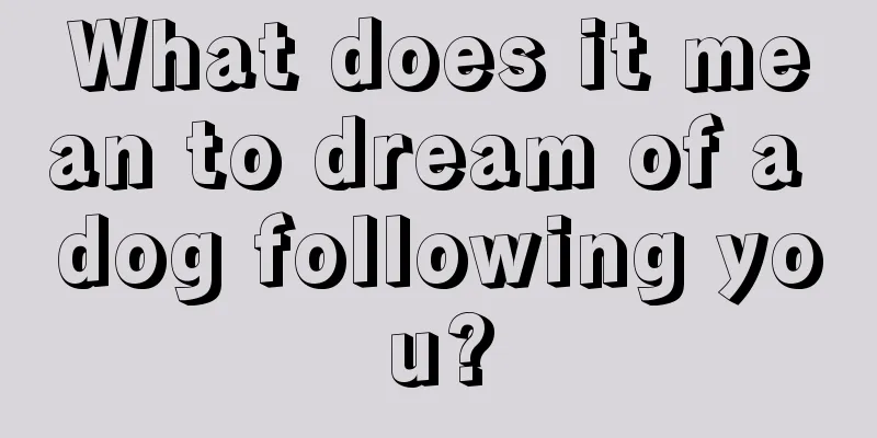 What does it mean to dream of a dog following you?