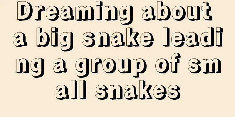 Dreaming about a big snake leading a group of small snakes