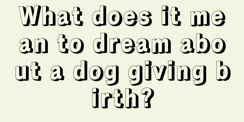 What does it mean to dream about a dog giving birth?