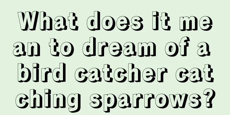 What does it mean to dream of a bird catcher catching sparrows?