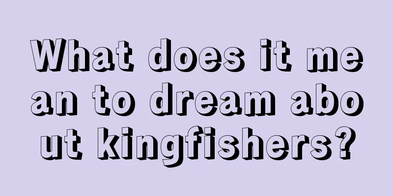 What does it mean to dream about kingfishers?