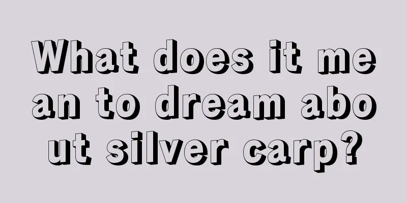 What does it mean to dream about silver carp?