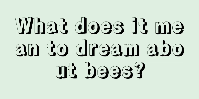 What does it mean to dream about bees?