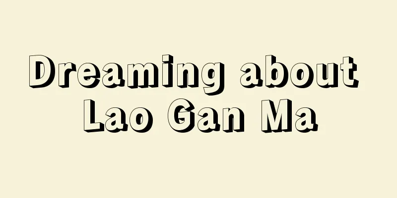 Dreaming about Lao Gan Ma