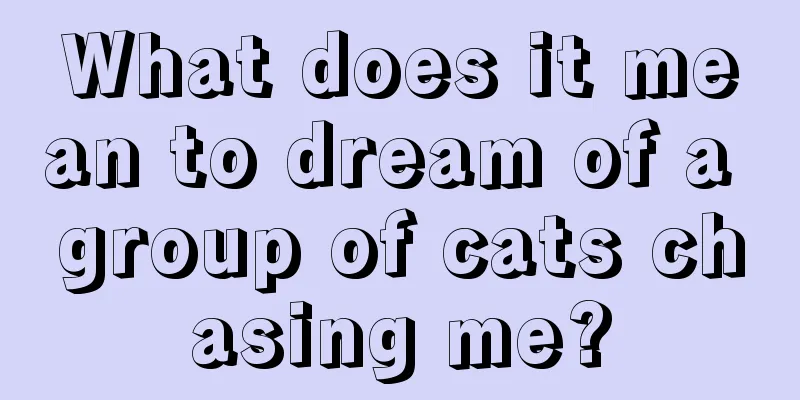 What does it mean to dream of a group of cats chasing me?