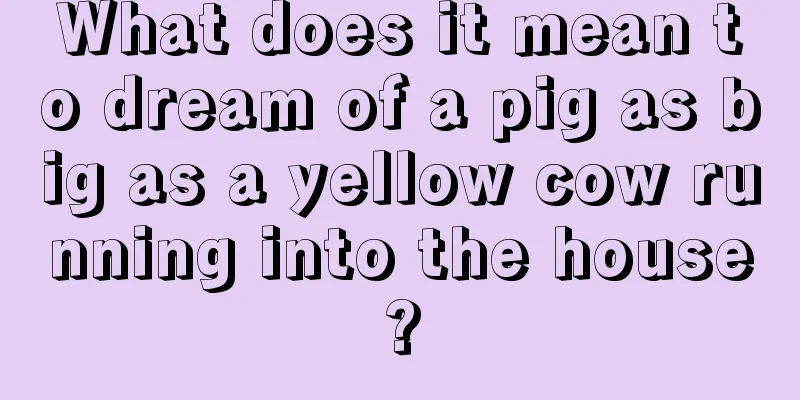 What does it mean to dream of a pig as big as a yellow cow running into the house?