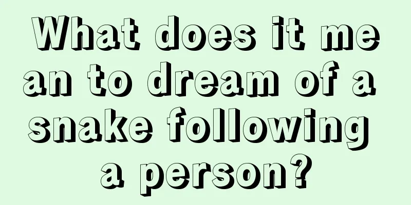 What does it mean to dream of a snake following a person?